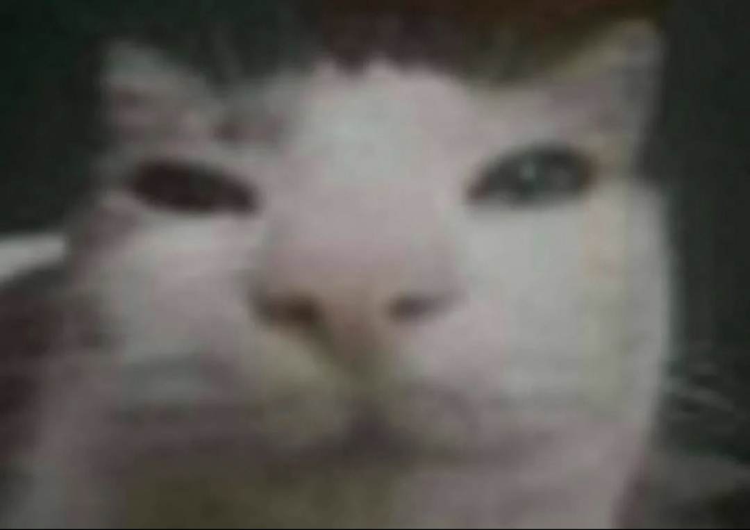 6-----------------------------------