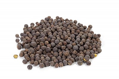 black mustard
