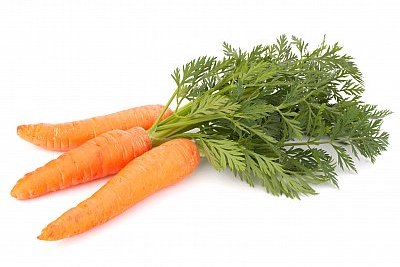 carrot