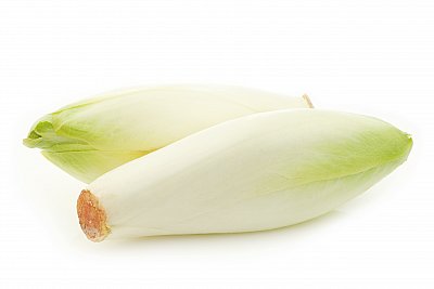 chicory