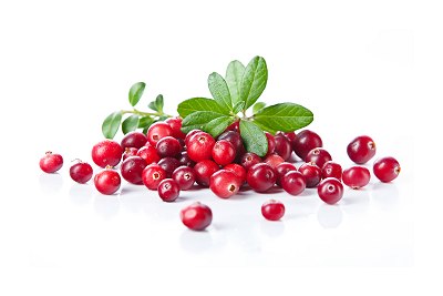 cranberry