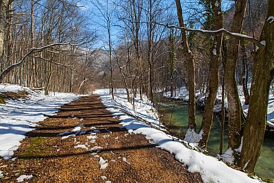 early spring