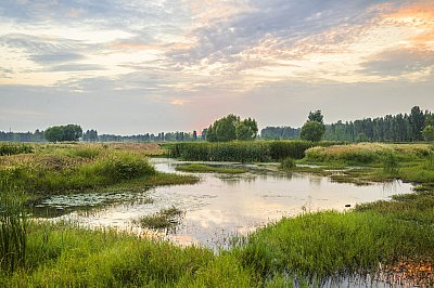 środowiskowo, dla środowiska