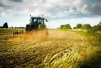 farming
