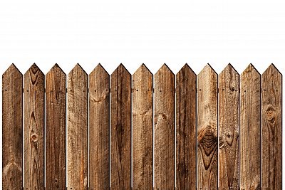fence