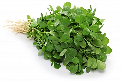 fenugreek