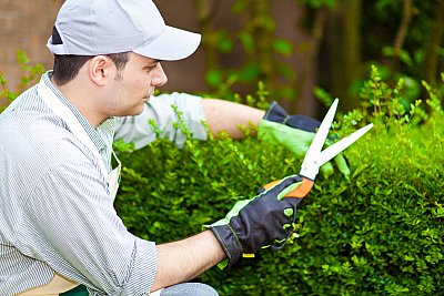 gardener