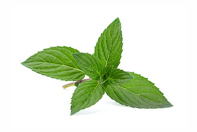 peppermint