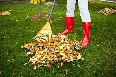 to rake
