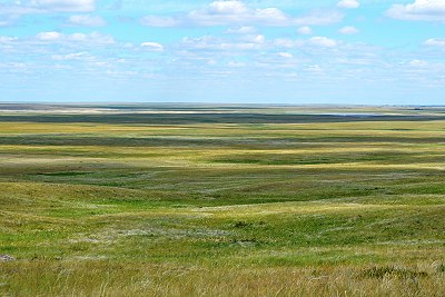 steppe